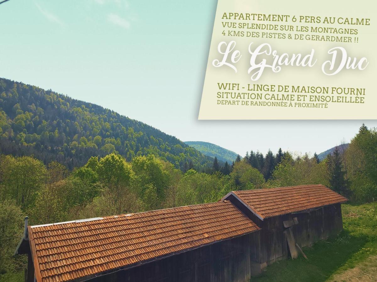 ⁂⁂ LE GRAND DUC Appartement [CLEDICIHOME] / Magnifique vue sur les montagnes / 4 KMs DE GERARDMER ! ⁂⁂ Rochesson Extérieur photo