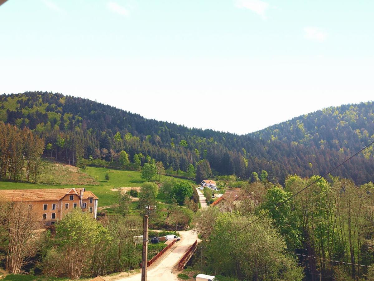 ⁂⁂ LE GRAND DUC Appartement [CLEDICIHOME] / Magnifique vue sur les montagnes / 4 KMs DE GERARDMER ! ⁂⁂ Rochesson Extérieur photo