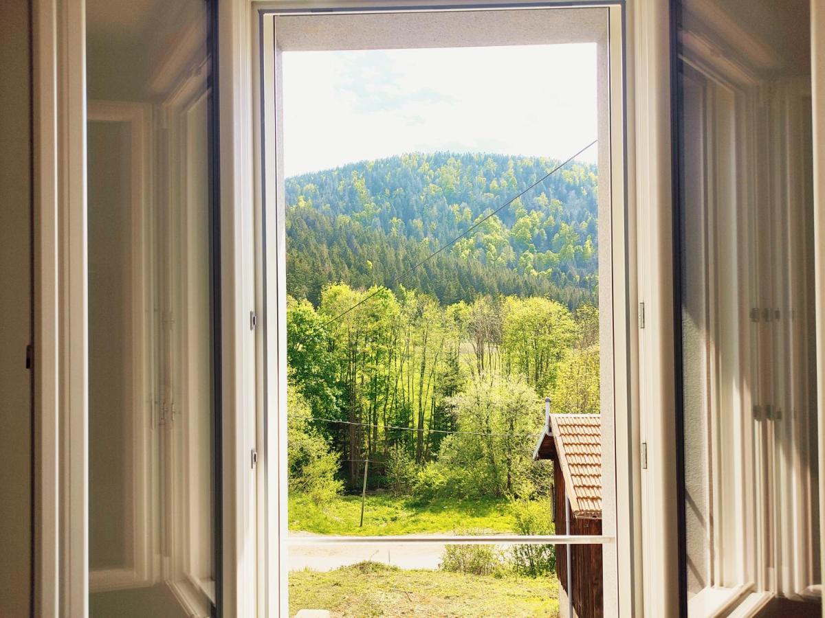 ⁂⁂ LE GRAND DUC Appartement [CLEDICIHOME] / Magnifique vue sur les montagnes / 4 KMs DE GERARDMER ! ⁂⁂ Rochesson Extérieur photo