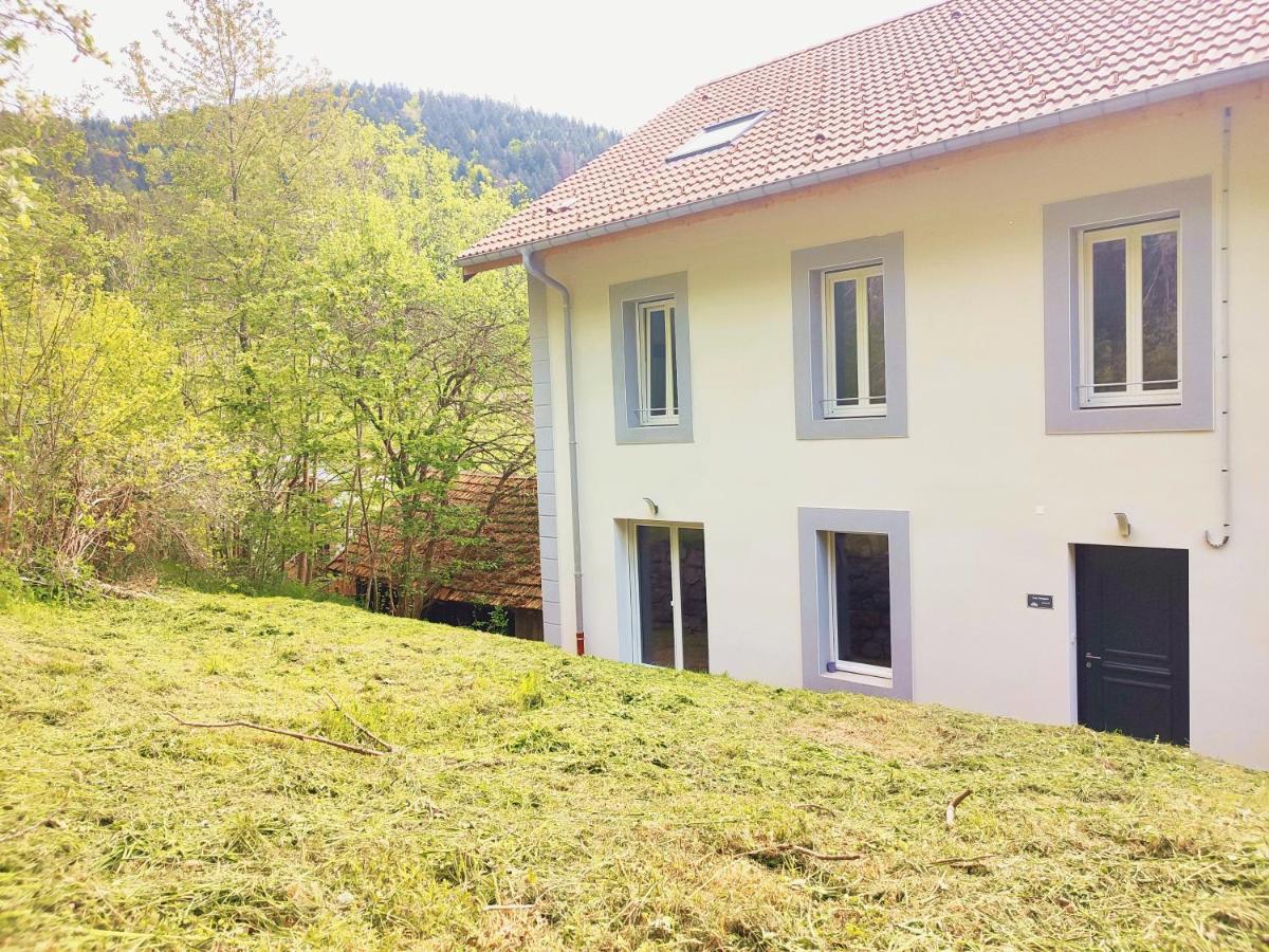 ⁂⁂ LE GRAND DUC Appartement [CLEDICIHOME] / Magnifique vue sur les montagnes / 4 KMs DE GERARDMER ! ⁂⁂ Rochesson Extérieur photo